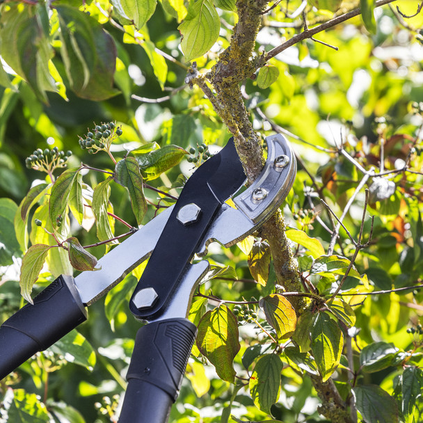 Sealey hedge cutters