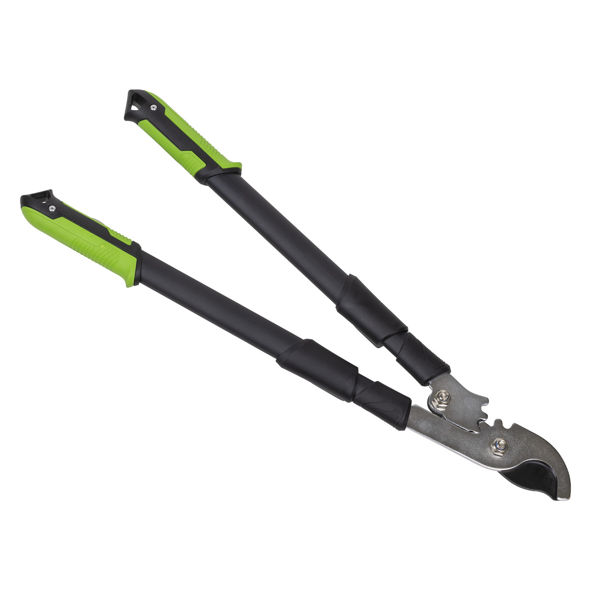 extendable garden shears