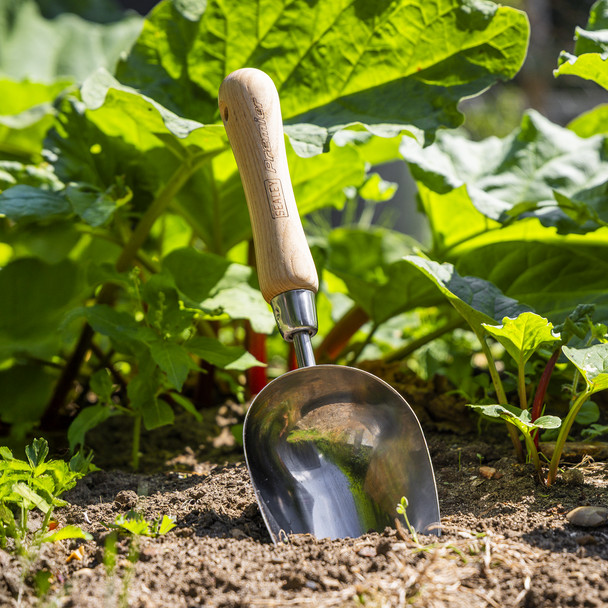 Sealey Premier Garden Scoop with Ash Handle & Stainless Steel Head GTWH006