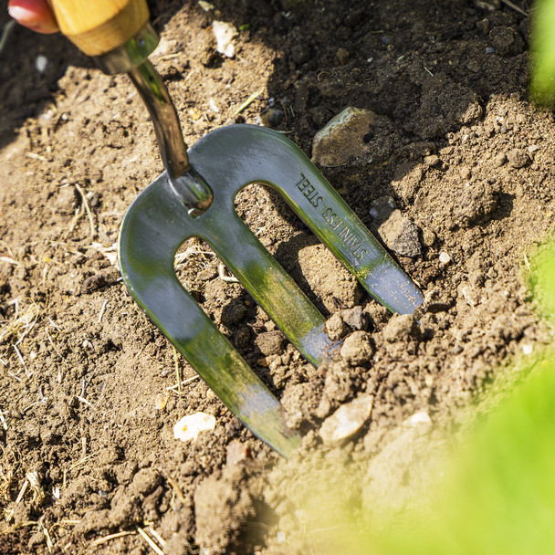 Sealey Premier Garden Hand Fork with Ash Handle & Stainless Steel Tines GTWH007