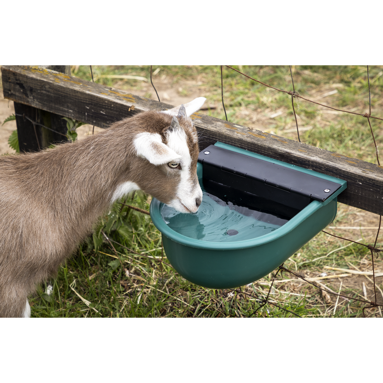 Sealey Automatic Cattle Drinking Bowl 4L AFT01