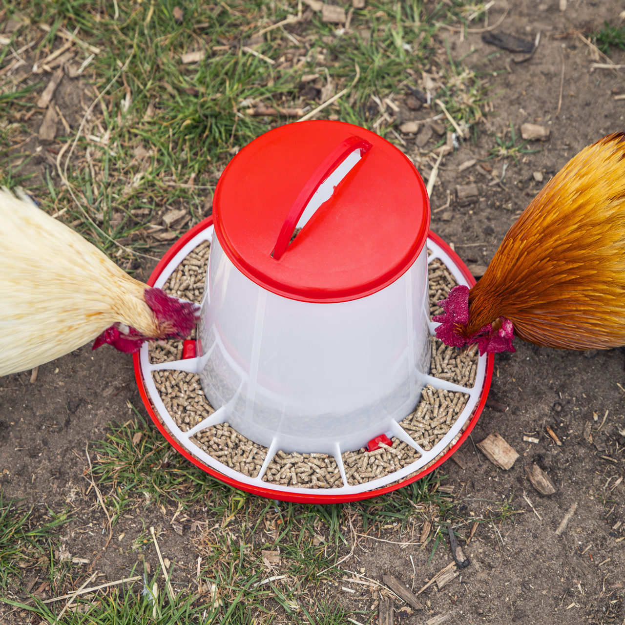 Sealey Poultry Feeder 3kg AFT03