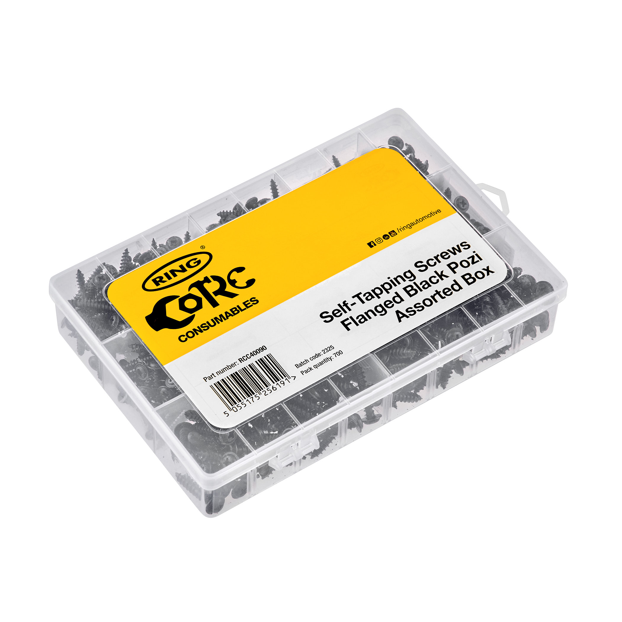 Assorted Box of Flanged Head Pozi screws