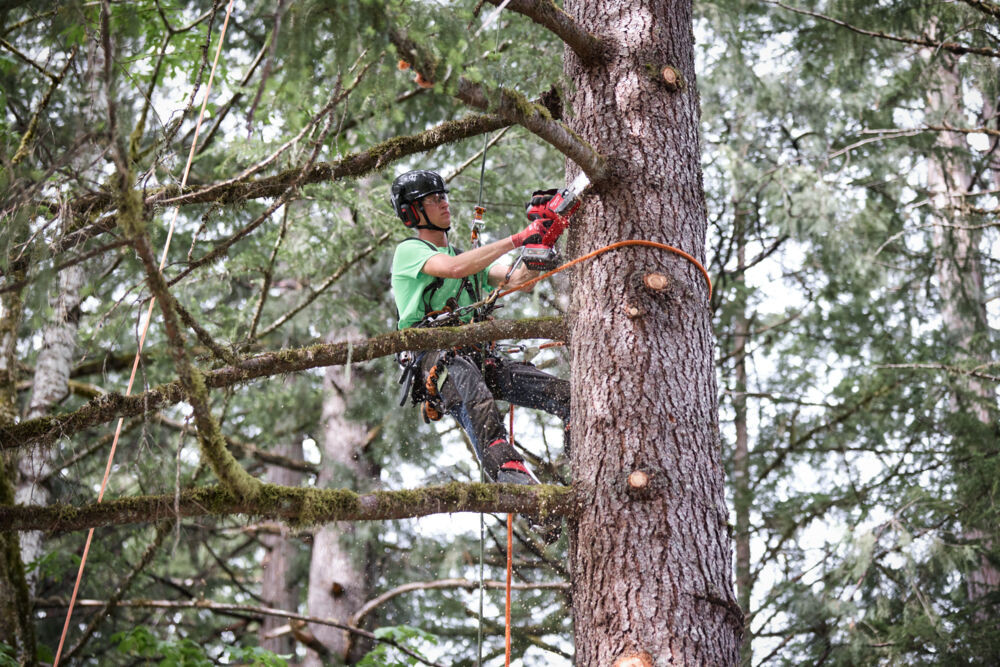 Milwaukee M18 Fuel cordless Hatchet 20cm chainsaw M18FHS20-0