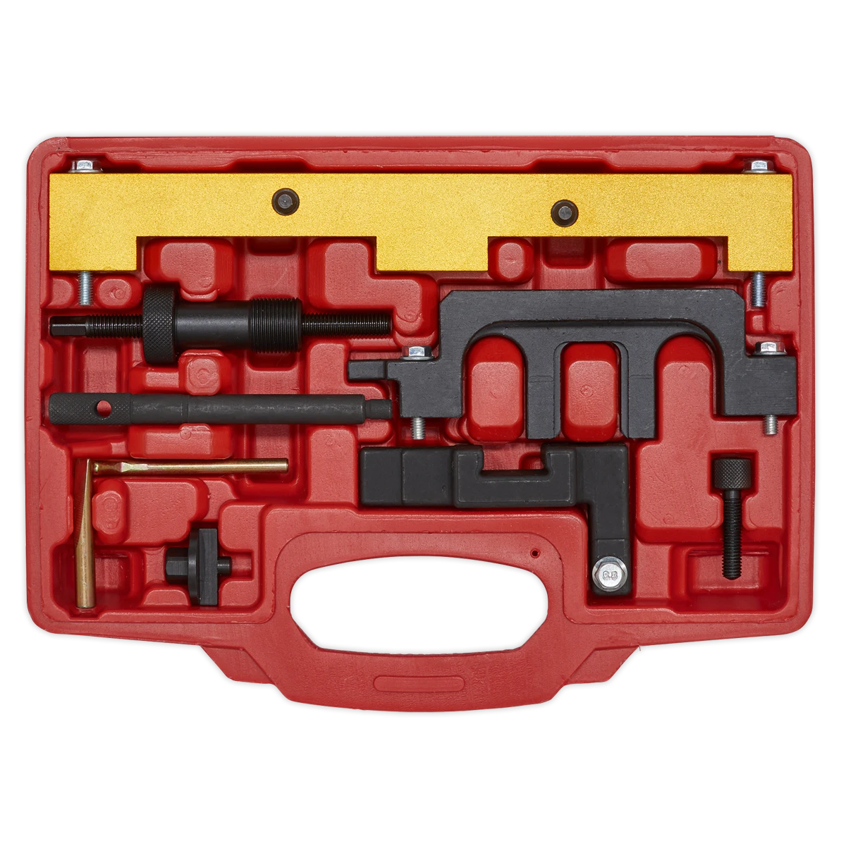 Sealey Petrol Engine Timing Tool Kit - for BMW 1.8/2.0 N42/N46/N46T - Chain Drive VSE5911A