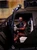 Red Atlas Creations Atlas LTT