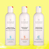 Soothing Shampoo, Normalising Shampoo and Nourishing Conditioner in 250ml size bottles.