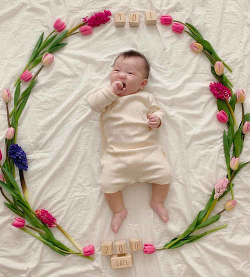 Baby Milestone Blocks
