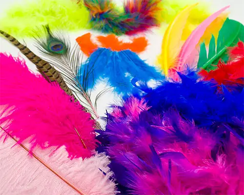 Plumas de Ave