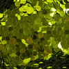 4-Verde/4-108-Verde Limón