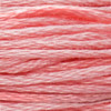 3-Rosa/3-36