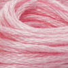 3-Rosa/3-49