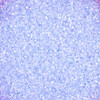 5-Azul/5-221-E