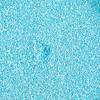 5-Azul/5-247-E