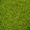 4-Verde/4-Dpt-608