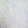 11-Blanco/11-125-I