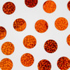 2-Naranja/2-620-H