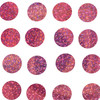 3-Rosa/3-609-H