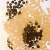 13-Oro/13-101-M Oro