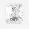 12-Plata/12-102-M Plata