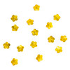 6-Amarillo/6-113-M Amarillo