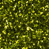 4-Verde/4-108-Verde Limón