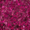 3-Rosa/3-106-Fucsia