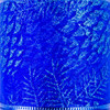 5-Azul/5-Azul Rey