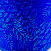 5-Azul/5-Azul Rey