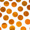 2-Naranja/2-620-H