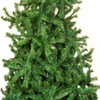 JAN0002594_4