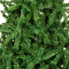 JAN0002594_5