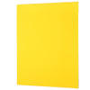 6-Amarillo/6-06-Amarillo Mango