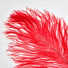 1-Rojo/1-Hr-Rojo
