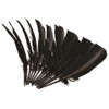 9-Negro/9-Bl-Negro