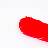 1-Rojo/1-R-Rojo