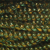 4-Verde/4-76-Verde Con Oro