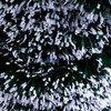 JAN0002432_2