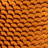 2-Naranja/2-120-M Naranja
