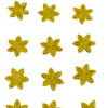 6-Amarillo/6-113-M Amarillo