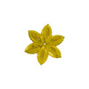 6-Amarillo/6-113-M Amarillo