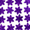 7-Morado/7-121-M Obispo