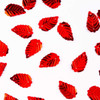 1-Rojo/1-104-M Rojo