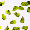 4-Verde/4-108-M Verde Limón