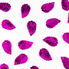 7-Morado/7-110-M Morado