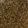 10-Gris/10-DB-0322