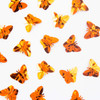 2-Naranja/2-120-M Naranja