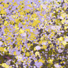 14-Multicolor/14-DPT-Champagne