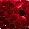 1-Rojo/1-104-ORM Rojo