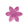 3-Rosa/3-109-ORM Rosa